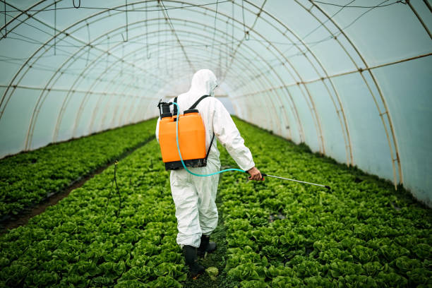 Best Residential Pest Control  in Edwards, MS