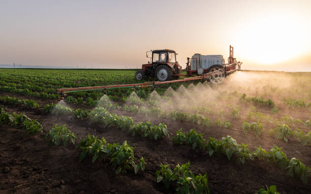 Best Best Pest Control Companies  in Edwards, MS
